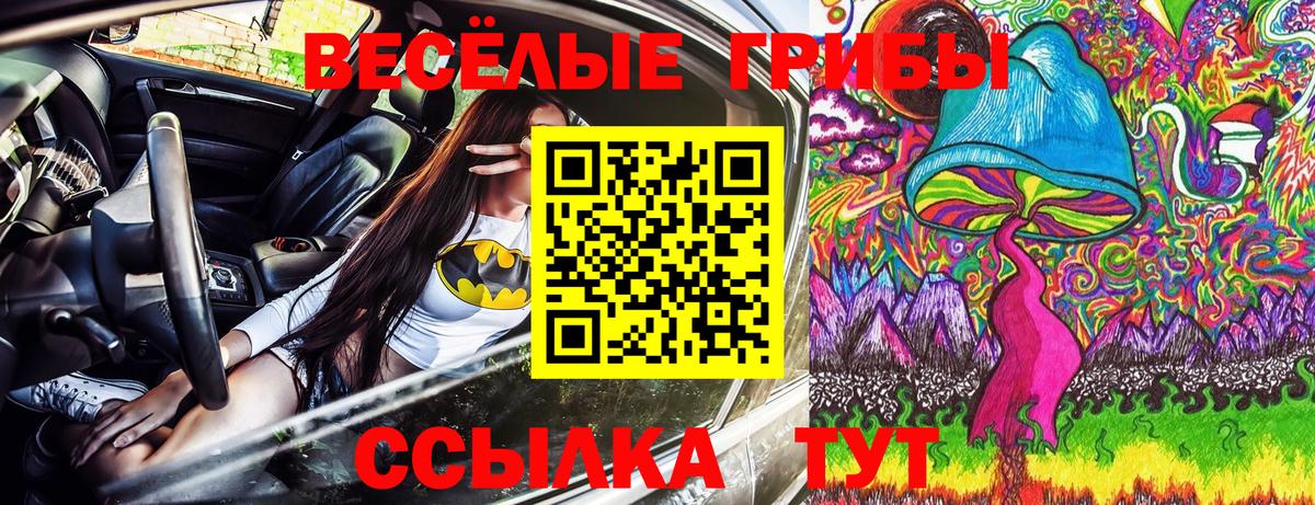 Саров  Галлюциногенные грибы мухоморы  Вход с VPN 