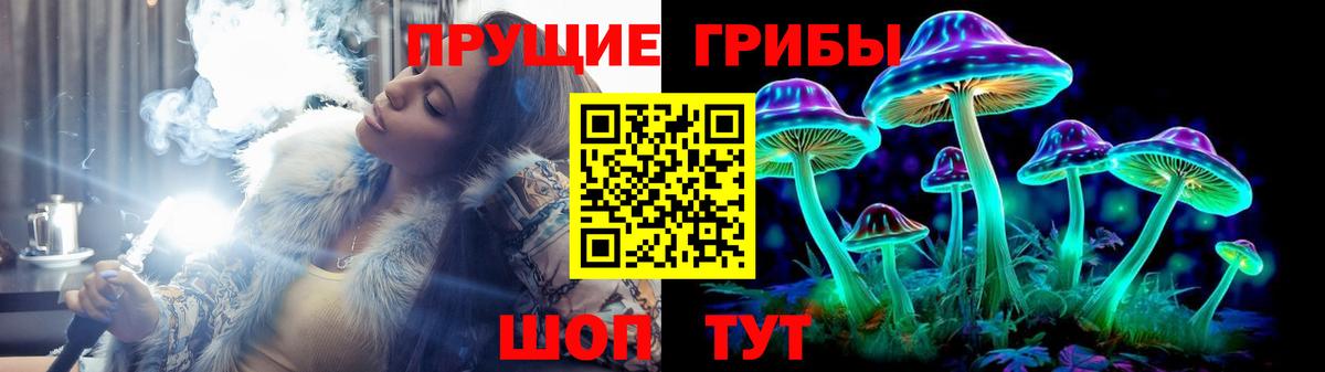 Гашиш Саров